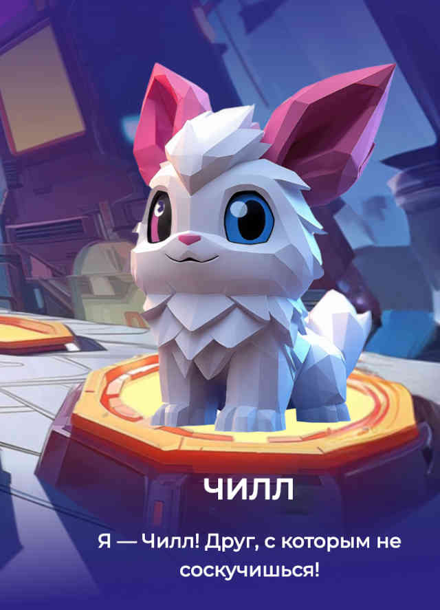 рубакстер-16